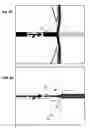 Fig. 13 - Skimmer for Concentrating an Aerosol and Uses Thereof