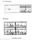 Fig. 04 - BCR-ABL truncation mutations