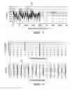 Fig. 03 - Phase-based misfire detection in engine rotation frequency domain