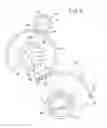Fig. 09 - DRIVING FORCE TRANSMISSION MECHANISM