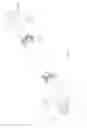 Fig. 03 - Wrench having detachable wrench head