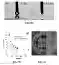 Fig. 09 - Superhydrophilic coatings