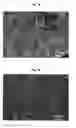 Fig. 02 - Rapid setting high strength calcium phosphate cements comprising cyclodextrins