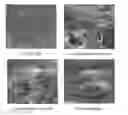 Fig. 01 - Biodegradable thermoplastic resin composition comprising cellulose derivatives and surface-treated natural fiber