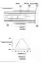 Fig. 02 - APPARATUS AND PROCESS FOR CRYSTAL GROWTH