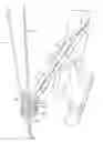 Fig. 01 - Archery bow