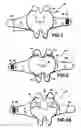 Fig. 02 - Press-on multicolor application system and method