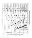 Fig. 05 - Concentrated solar thermoelectric power system and numerical design model