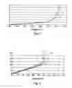 Fig. 03 - Motor vehicle tire