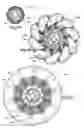 Fig. 14 - Through tubing bridge plug and installation method for same