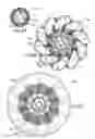Fig. 14 - Anchor assembly and method for anchoring a downhole tool