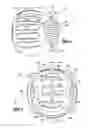 Fig. 04 - Power tool with torque clutch