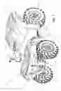 Fig. 02 - Drivetrain for an all terrain vehicle