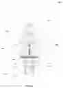 Fig. 02 - HIGH PRESSURE SWITCH