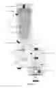 Fig. 07 - Rotary evaporator