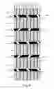Fig. 07 - Method for arranging electrodes in an electrolytic process and an electrolytic system
