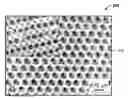 Fig. 01 - Three-dimensionally ordered macroporous sensor apparatus and method