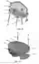 Fig. 28 - Golf bag, golf bag kit, and methods of assembly thereof