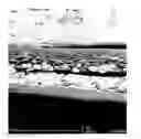Fig. 01 - Forward osmosis membranes