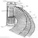 Fig. 01 - CRYSTALLINE POLYMER MICROPOROUS MEMBRANE, METHOD FOR PRODUCING THE SAME, AND FILTRATION FILTER