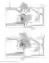 Fig. 03 - Shield apparatus for circuit breaker