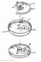 Fig. 01 - Metering and dispensing closure