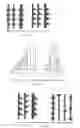 Fig. 04 - Blur resistant barcode