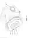 Fig. 03 - Quick attaching fluid head