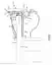 Fig. 05 - Anesthesia equipment lift