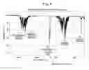 Fig. 06 - Light detector, light detecting apparatus, infrared detector and infrared detecting apparatus