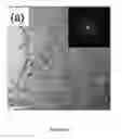 Fig. 13 - Thermoelectrics compositions comprising nanoscale inclusions in a chalcogenide matrix