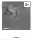 Fig. 14 - Thermoelectrics compositions comprising nanoscale inclusions in a chalcogenide matrix