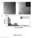 Fig. 23 - Thermoelectrics compositions comprising nanoscale inclusions in a chalcogenide matrix