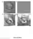 Fig. 24 - Thermoelectrics compositions comprising nanoscale inclusions in a chalcogenide matrix
