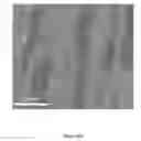 Fig. 29 - Thermoelectrics compositions comprising nanoscale inclusions in a chalcogenide matrix