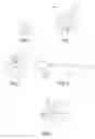 Fig. 02 - COATED WATER SOLUBLE NANOPARTICLES