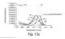 Fig. 08 - COATED WATER SOLUBLE NANOPARTICLES