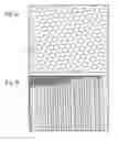 Fig. 02 - Nanodevice arrays for electrical energy storage, capture and management and method for their formation