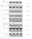 Fig. 04 - Ferroelectric polymer memory module