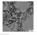 Fig. 01 - SEMICONDUCTOR NANOCRYSTAL FILM