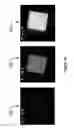 Fig. 15 - High-performance single-crystalline N-type dopant-doped metal oxide nanowires for transparent thin film transistors and active matrix organic light-emitting diode displays