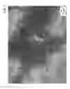 Fig. 08 - II-VI semiconductor nanowires