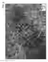Fig. 10 - II-VI semiconductor nanowires