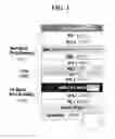 Fig. 02 - White organic light emitting device