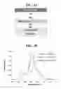 Fig. 04 - White organic light emitting device