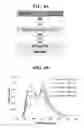 Fig. 05 - White organic light emitting device