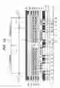 Fig. 11 - Semiconductor integrated circuit device