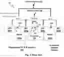 Fig. 04 - Method of generating uniformly aligned well and isolation regions in a substrate and resulting structure