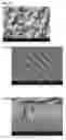 Fig. 16 - SEMICONDUCTOR DEVICE, FABRICATION METHOD OF THE SEMICONDUCTOR DEVICES