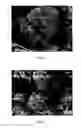 Fig. 09 - METHOD FOR SINTERING ANHYDROUS CALCIUM SULFATE AS BIOMEDICAL MATERIAL